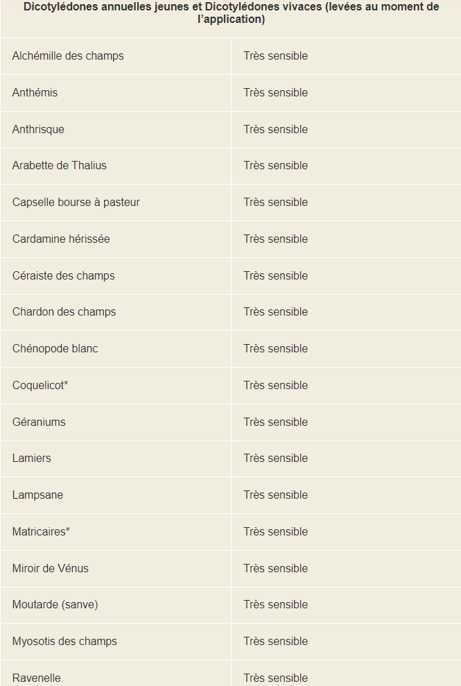 Les performances sur blé tendre d'hiver