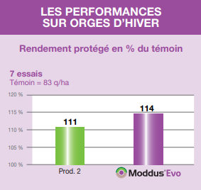Les performances sur orges d'hiver